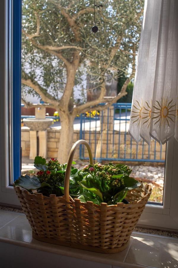 Olive Tree Apartments Umago Exterior foto
