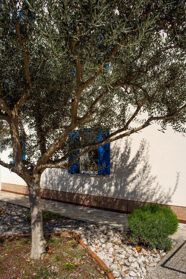 Olive Tree Apartments Umago Exterior foto