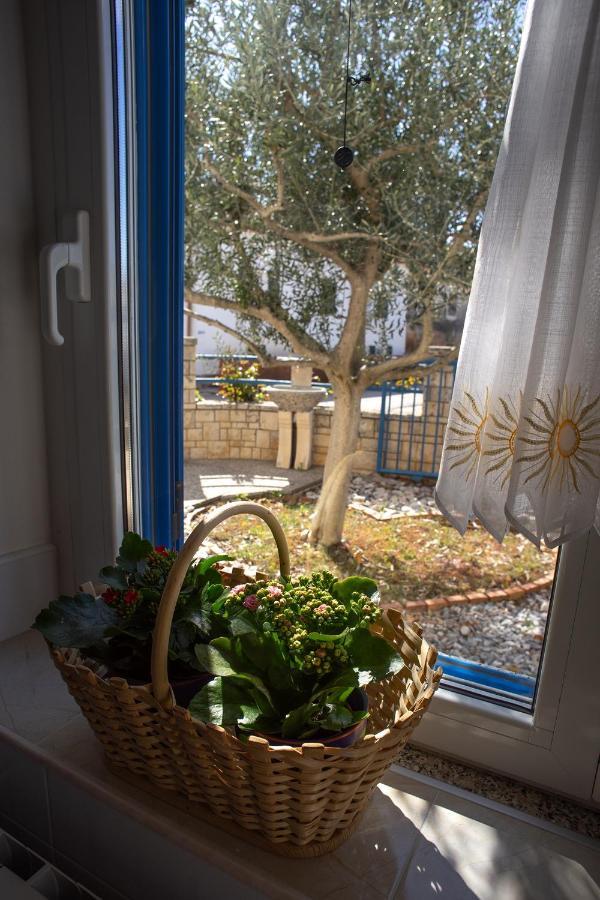 Olive Tree Apartments Umago Exterior foto